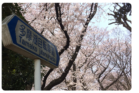 小平市 行政書士